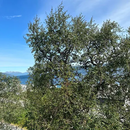 In With Sea And Mountain View *